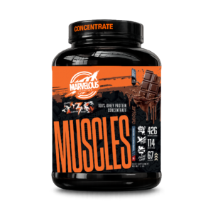 Musculatura
